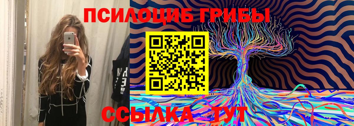 Псилоцибиновые грибы Magic Shrooms Астрахань